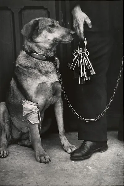 Mr. Caillot's Dog and the Keys of Notre Dame, Paris — André Kertész|Igor Bakht