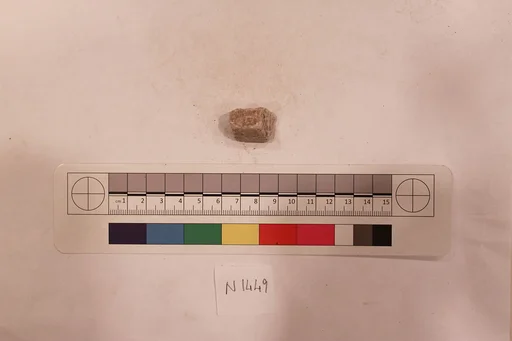 Stucco Fragment