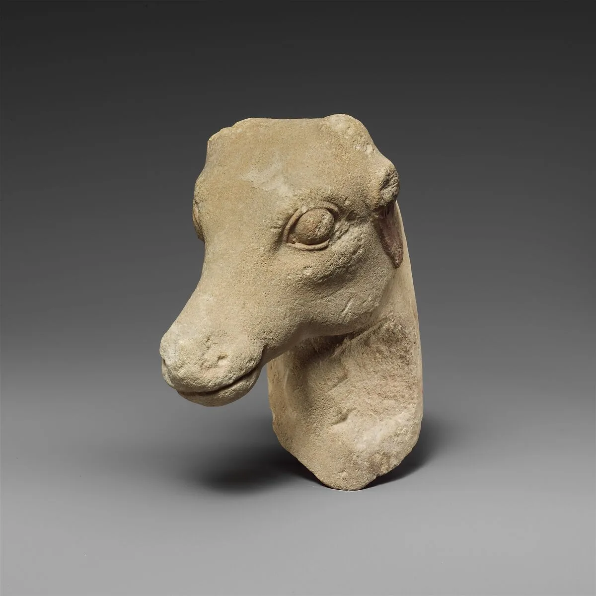 Limestone head of a deer — Unknown