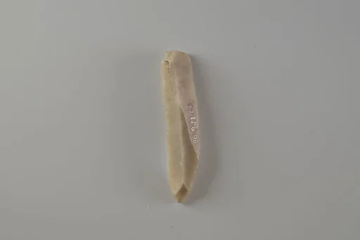 Blade Fragment