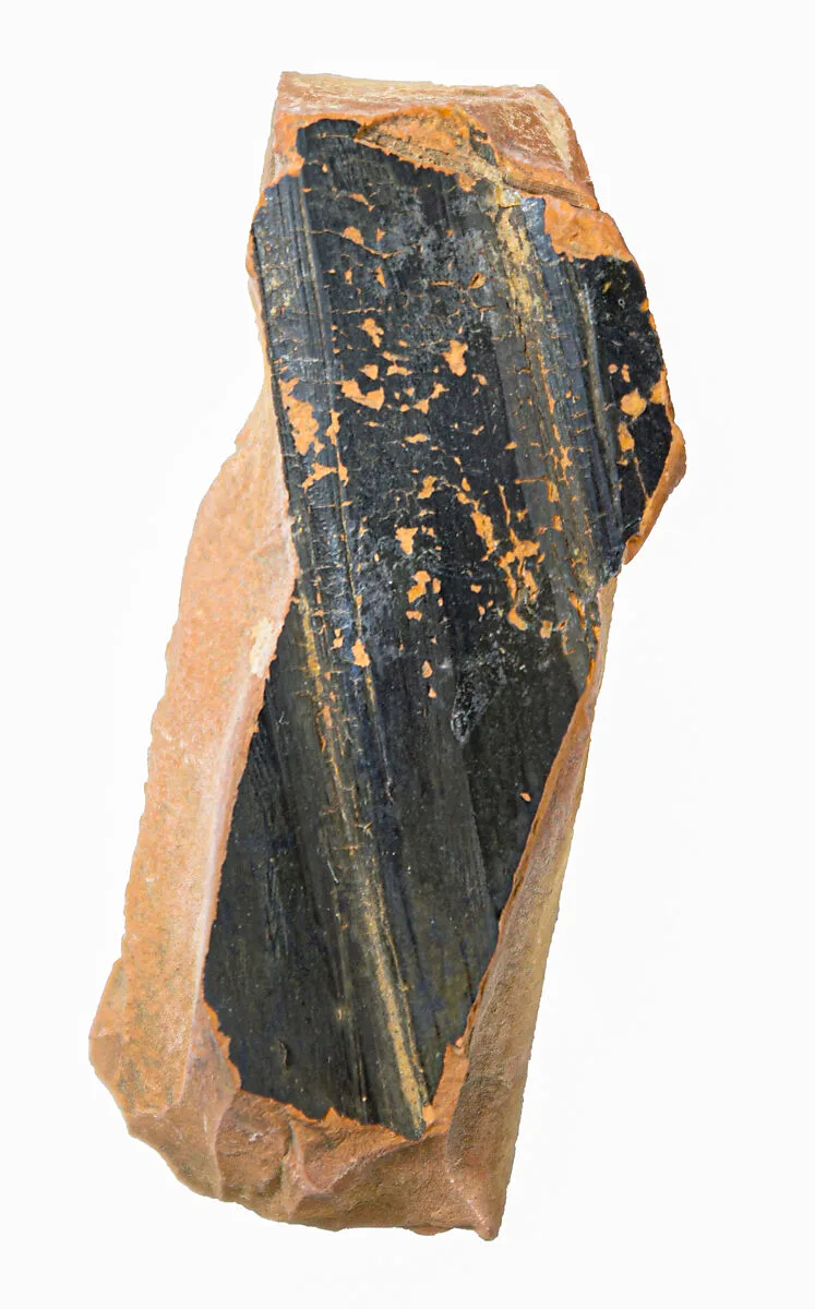 Volute-krater fragment — Unknown