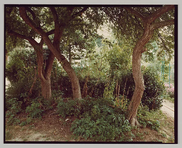 Giverny — Stephen Shore