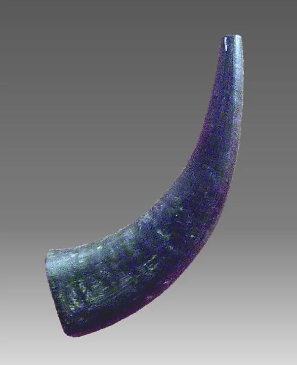 Horn — Unknown