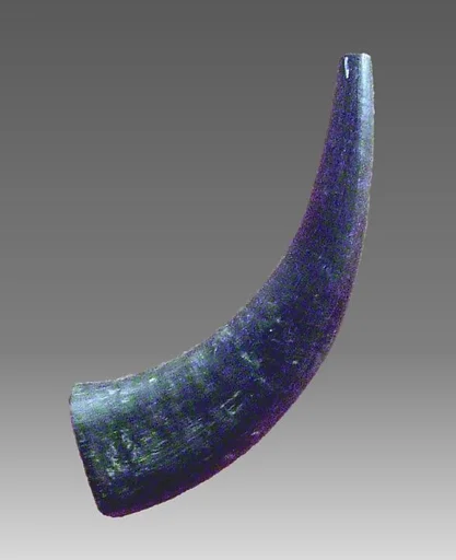 Horn