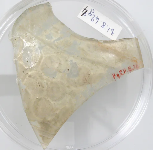 Glass Fragment