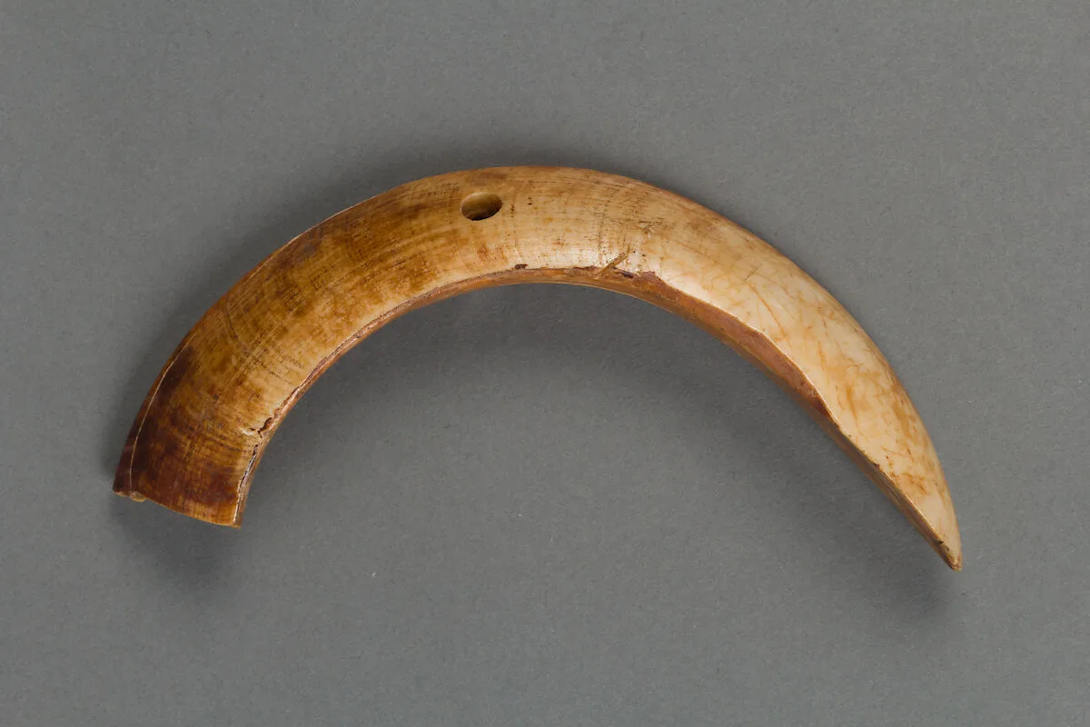 装身具|Body ornament — Unknown