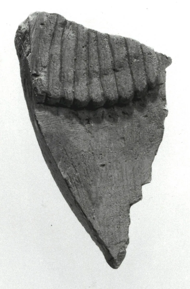 Raised relief fragment — Unknown