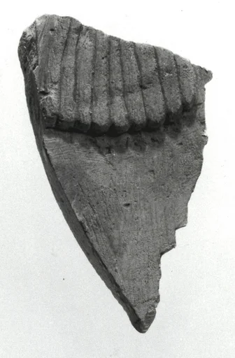 Raised relief fragment