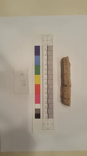 Stucco Fragment