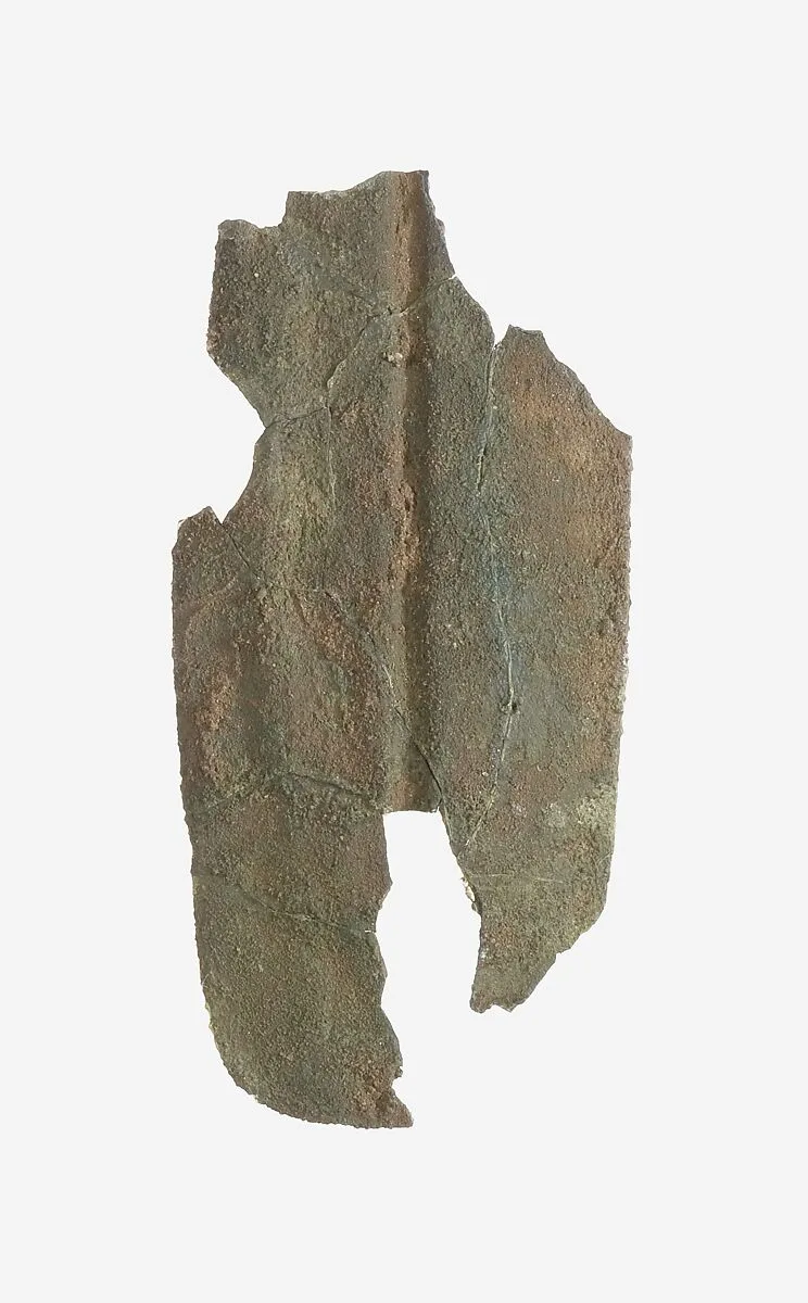 Scale from Armor — Unknown