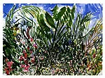 Mexican Garden — Malcolm Morley