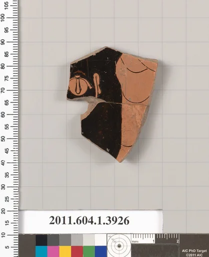 Terracotta fragment of a kylix (drinking cup)