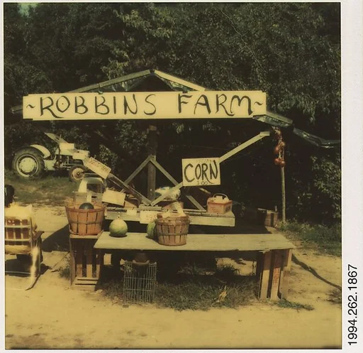 [Roadside Fruit and Vegetable Stand: "Robbins Farm"]