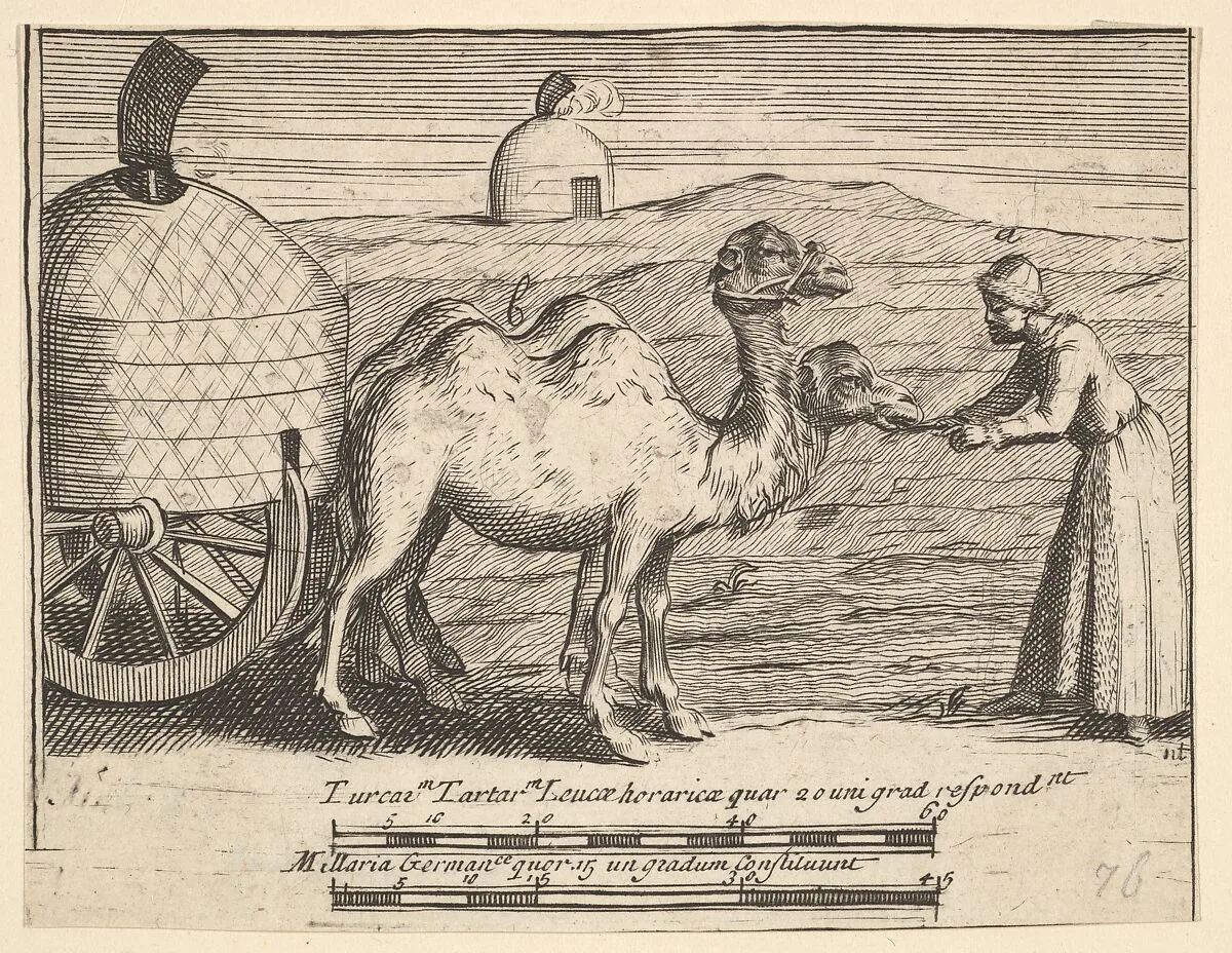 Two Dromedaries (Aubry de La Mottraye's "Travels throughout Europe, Asia and into Part of Africa...," London, 1724, plate 314) — William Hogarth|Aubry de La Mottraye