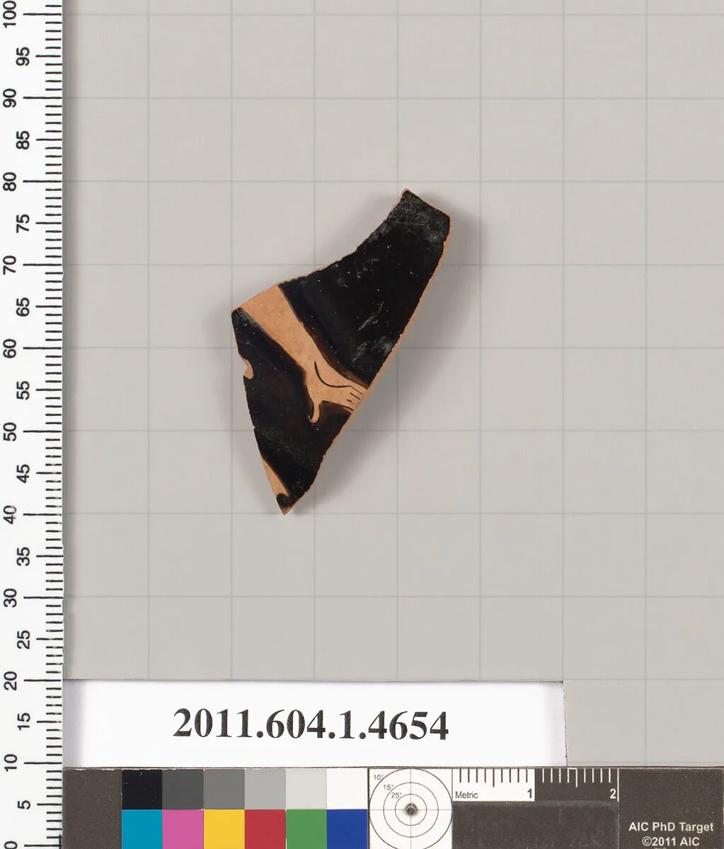 Terracotta fragment of a kylix (drinking cup) — Unknown