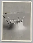 Drop of Milk