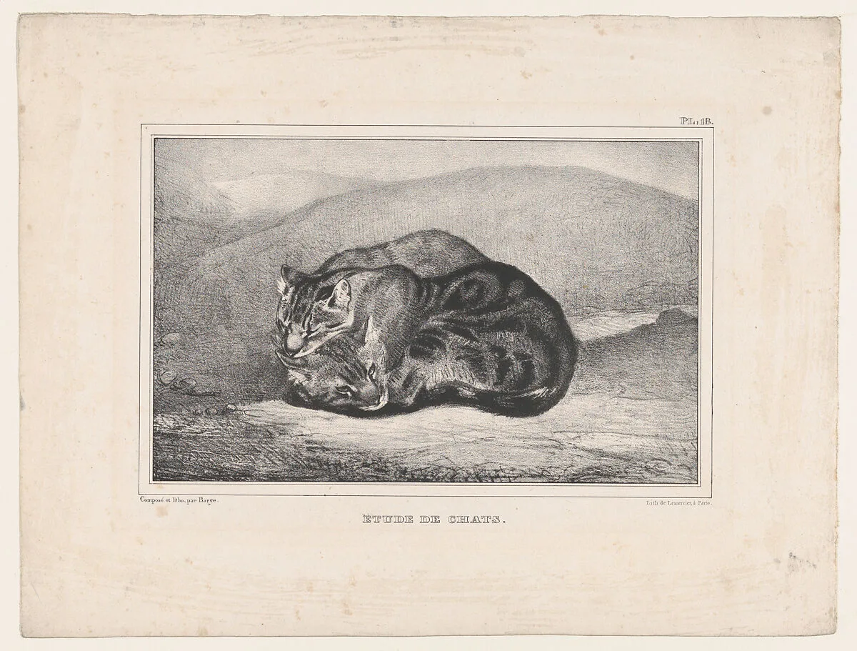 Study of Cats — Antoine-Louis Barye|Lemercier & Cie.