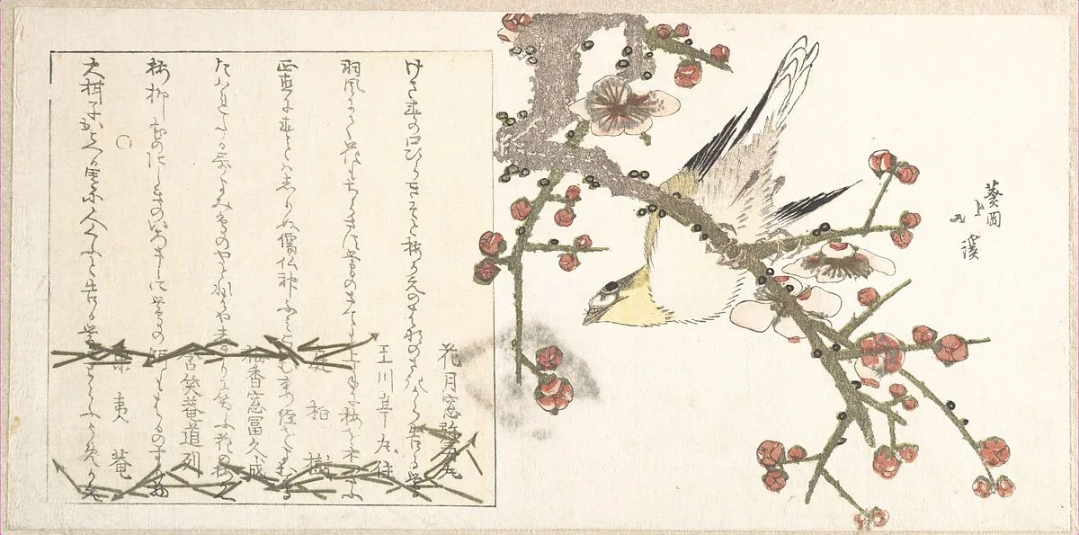 Untitled — Totoya Hokkei