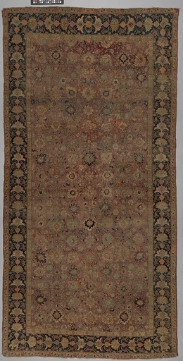 Carpet