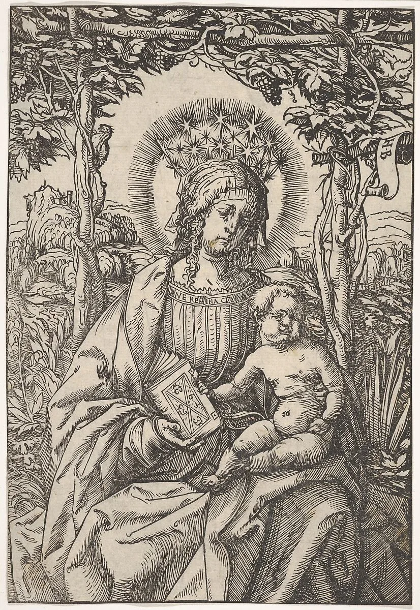 The Virgin with a Book in an Arbor — Hans Burgkmair