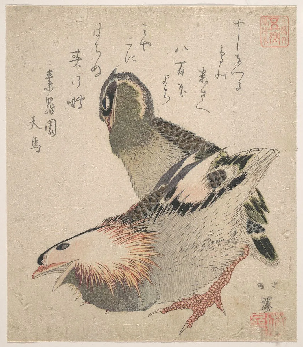 Untitled — Totoya Hokkei