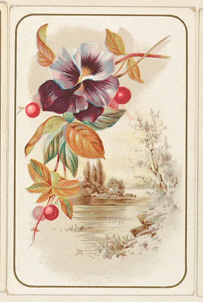Purple pansy with berries, bakery card from the Picture Cards series (D63), issued by the Vienna Model Bakery — Vienna Model Bakery