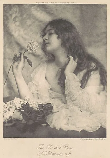 The Bridal Rose — Rudolph Eickemeyer, Jr.
