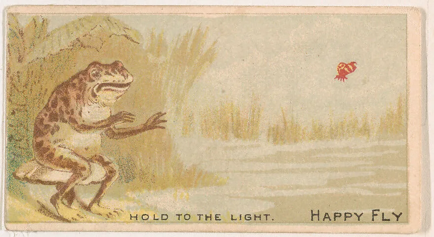 Happy Fly, from the Magic Changing Cards series (N223) issued by Kinney Tobacco Company — Kinney Brothers Tobacco Company