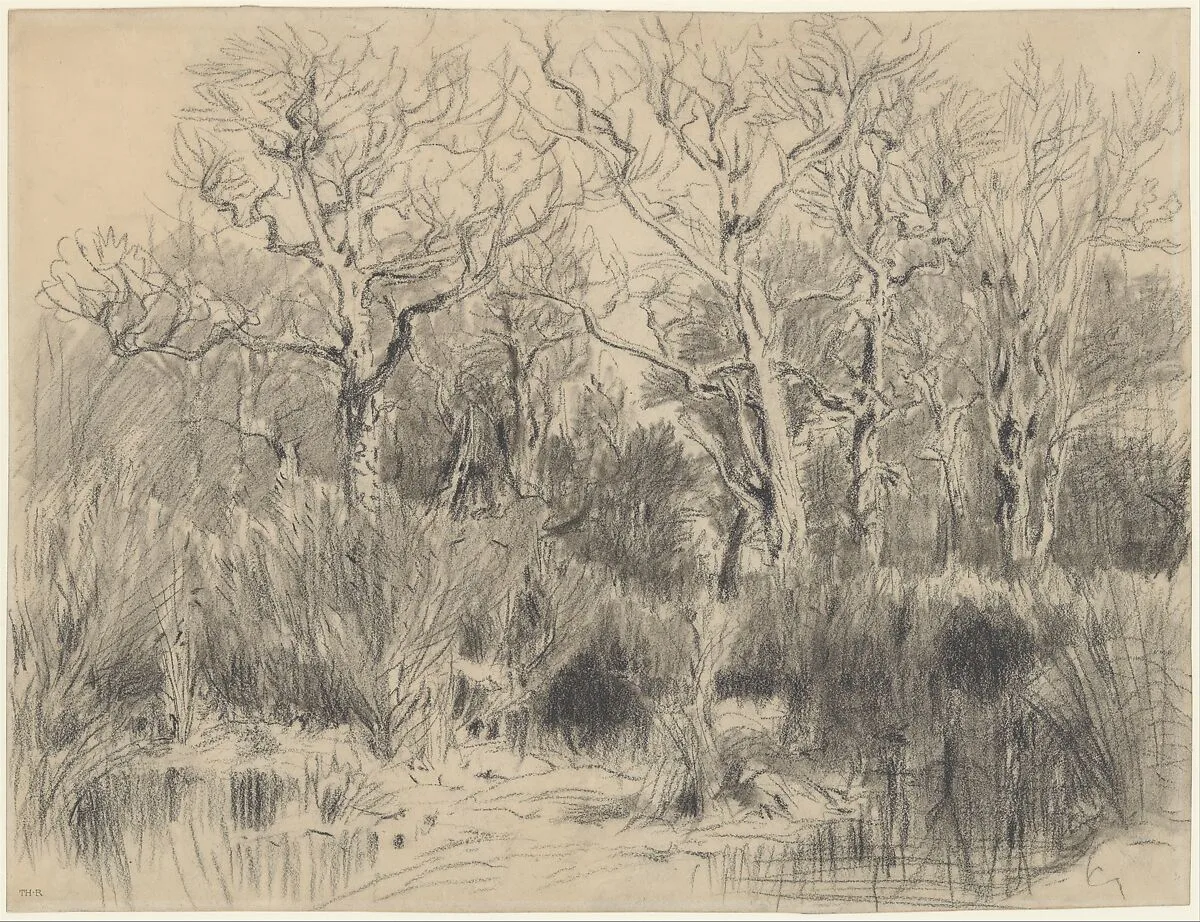 Trees in a Thicket — Théodore Rousseau
