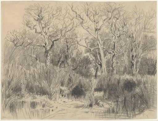 Trees in a Thicket