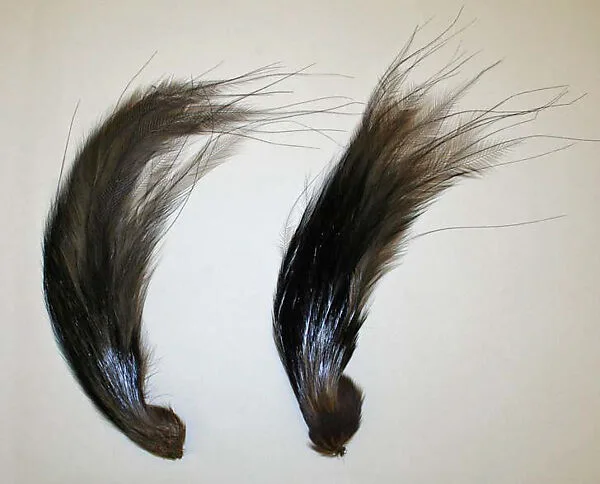 Aigrette — Unknown