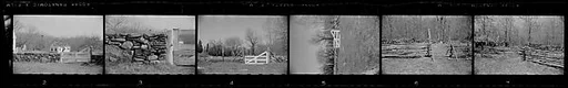 [64 Portraits of Anthony West and Lily Emmet West on Lawn and Views of House, Possibly Stonington, Connecticut]