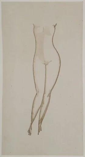 Female Torso