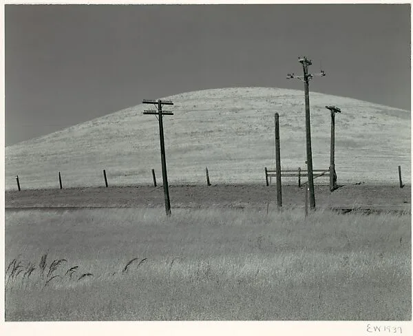 Hills and Poles, Solano County — Edward Weston|Brett Weston|Cole Weston