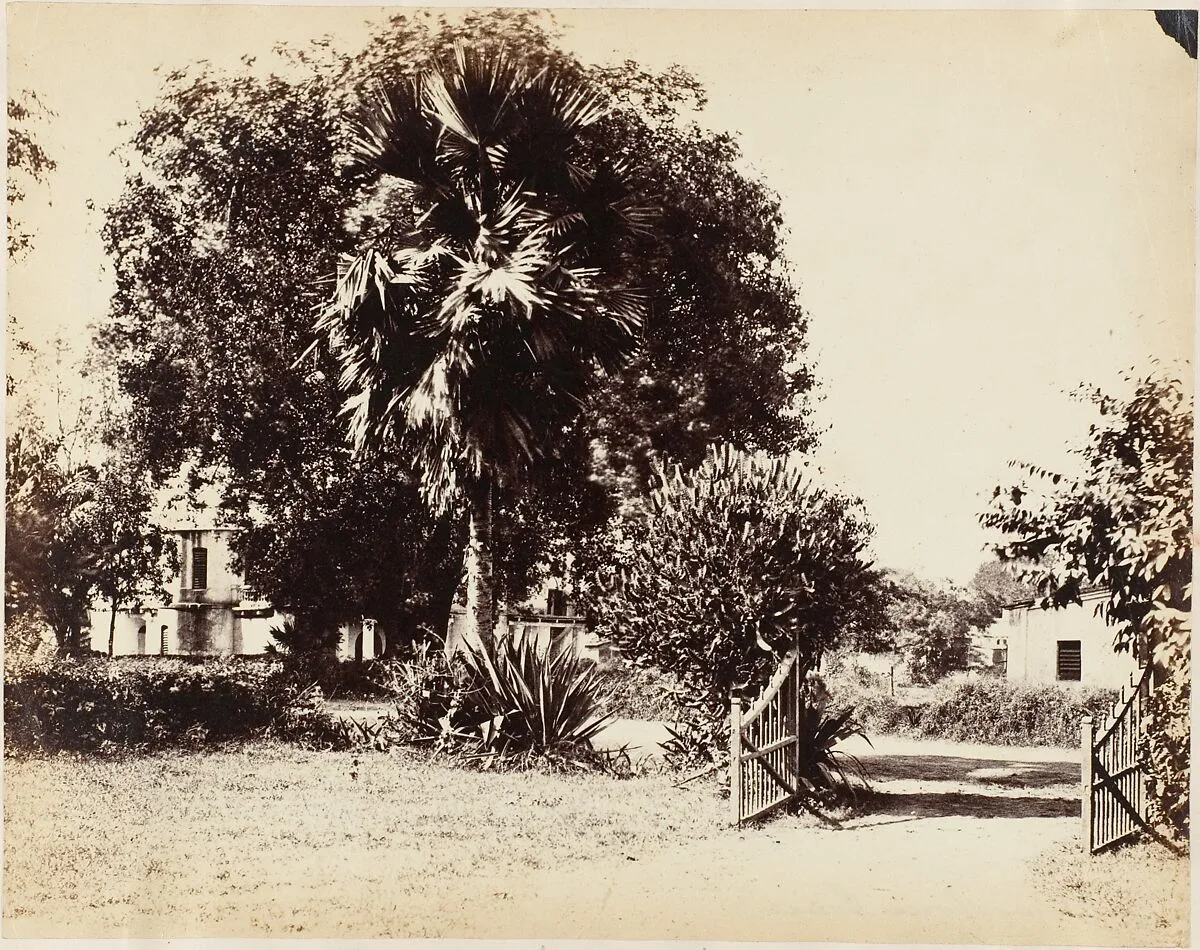 Gate Leading into Our House — Captain R. B. Hill
