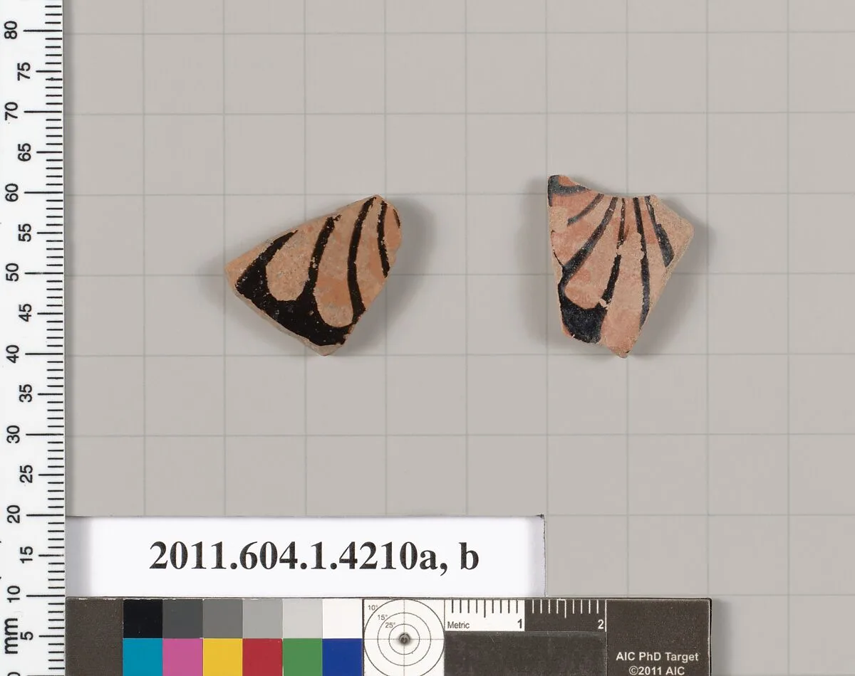 Terracotta fragments of kylikes (drinking cups) — Unknown