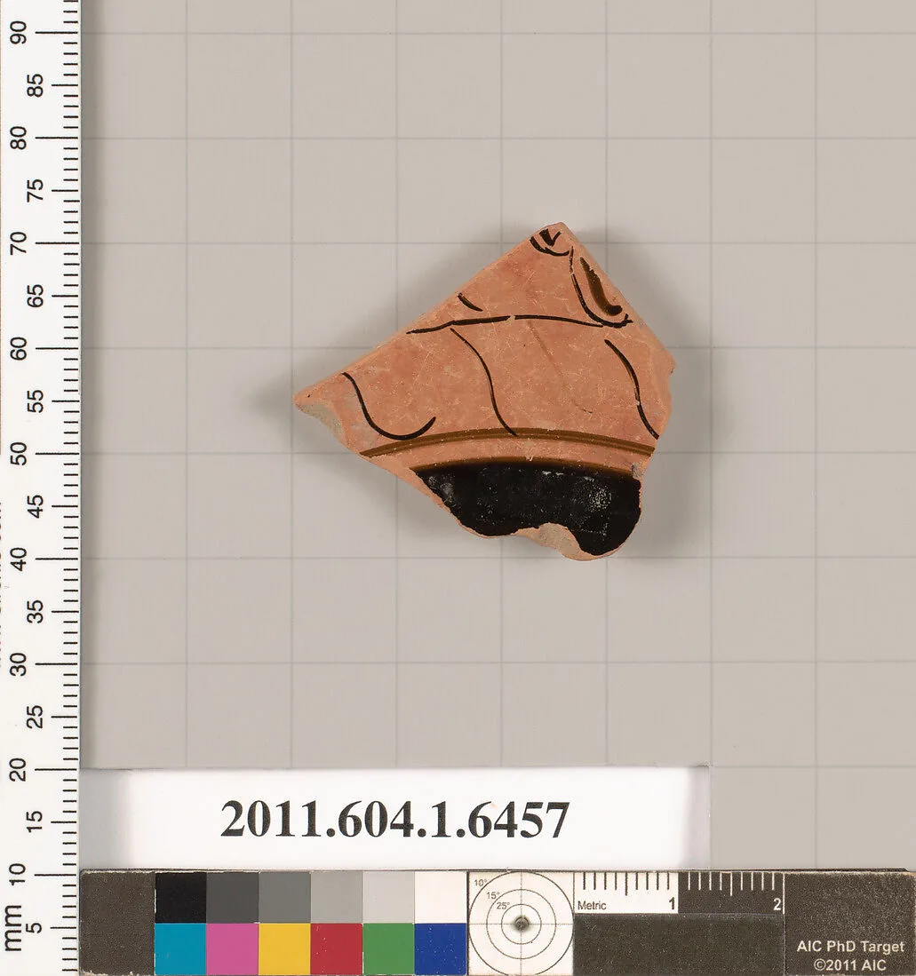 Terracotta fragment of a kylix (drinking cup) — Unknown