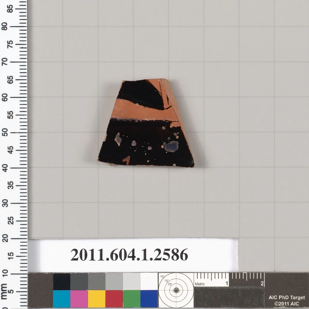 Terracotta fragment of a kylix (drinking cup) — Unknown