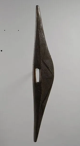Parrying Shield — Unknown