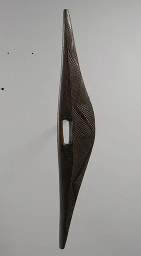 Parrying Shield