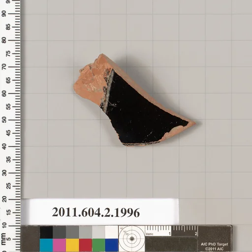 Terracotta fragment of a pelike (jar)?