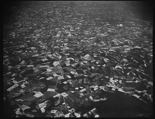 [View from Plane, Southeastern U.S.]