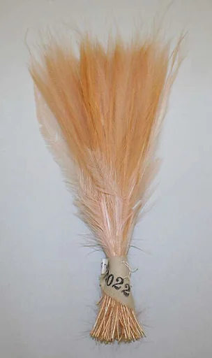 Feather