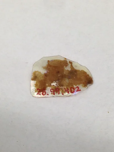 Fragment