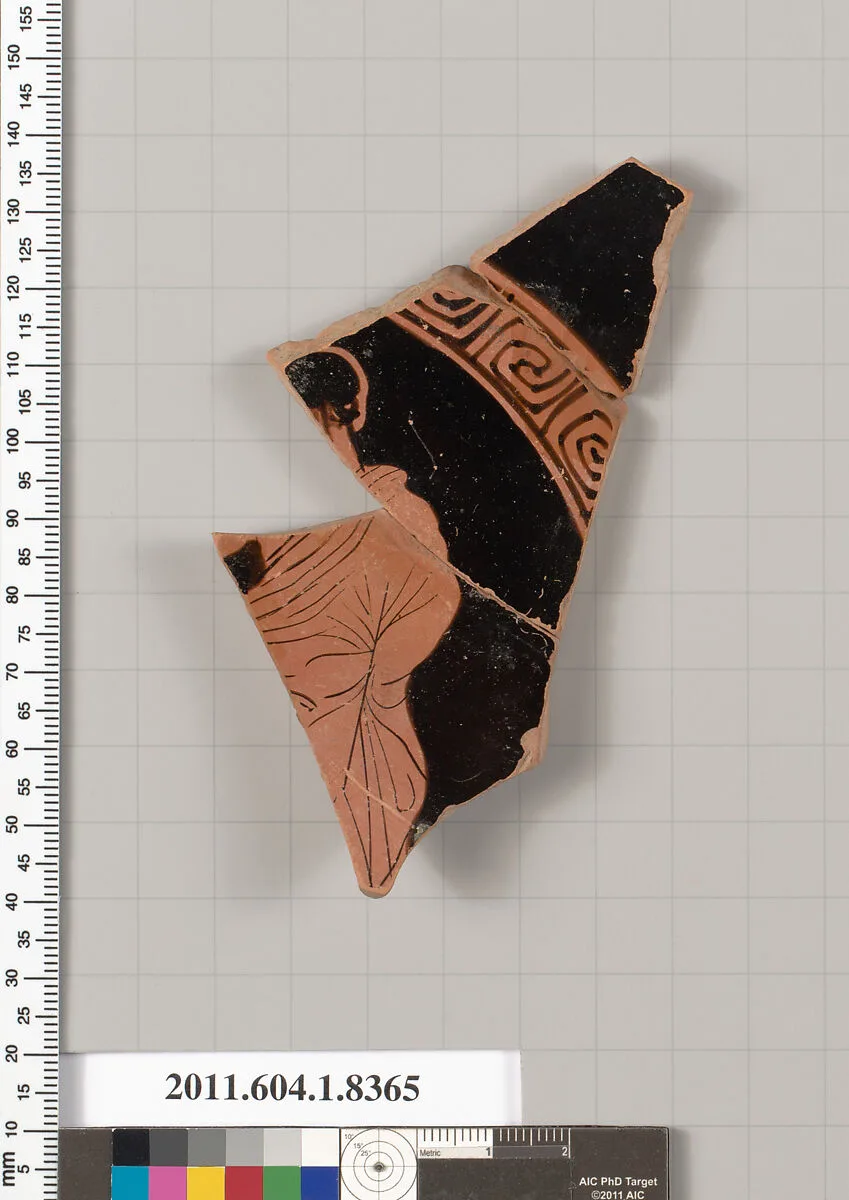 Terracotta fragment of a kylix (drinking cup) — Unknown