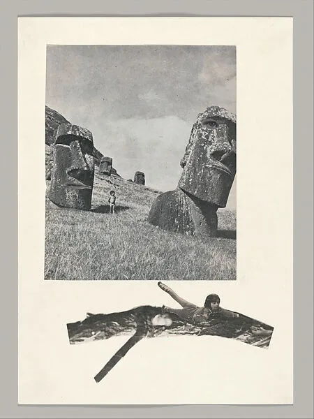 Untitled (Unlearning Instincts) — Eva Koťátková