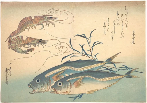 魚づくし 車海老 鯵にたで|Aji Fish and Kuruma-ebi, from the series Uozukushi (Every Variety of Fish)