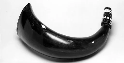 Horn