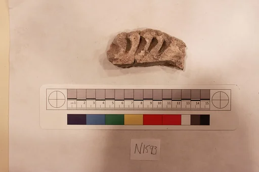 Stucco Fragment