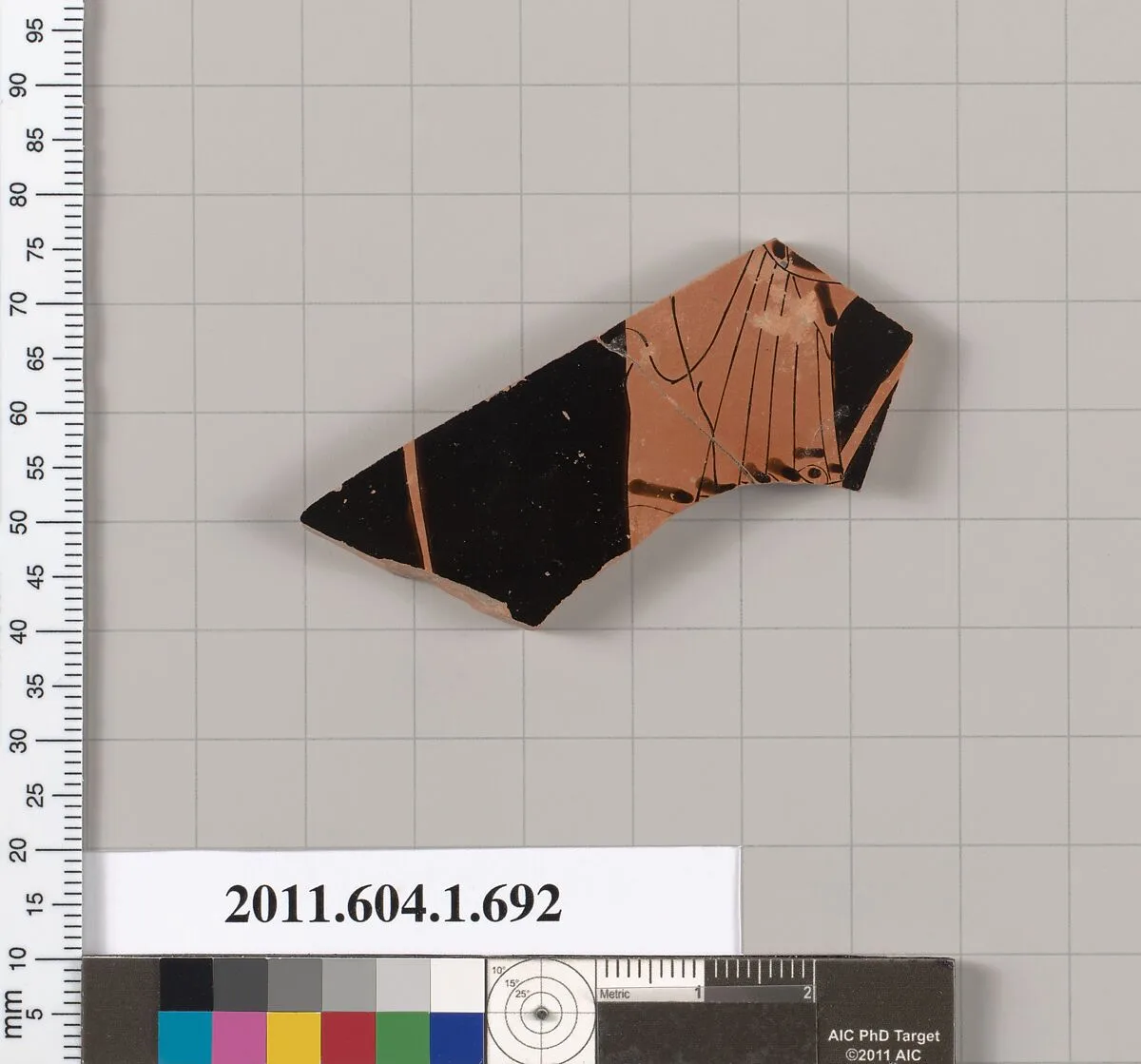 Terracotta fragment of a kylix (drinking cup) — Unknown